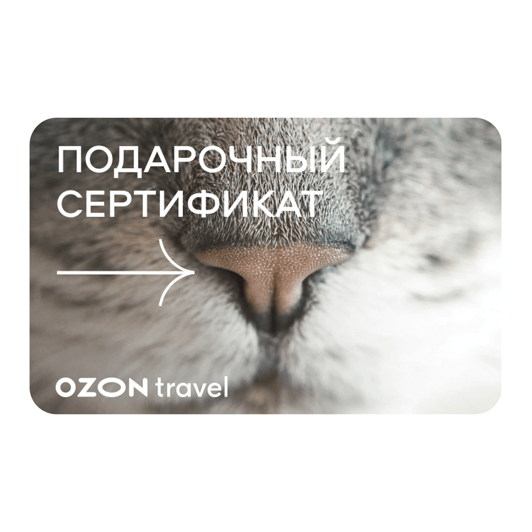 Подарочный сертификат OZON Travel